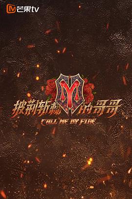 披荆斩棘的哥哥 1-4 季