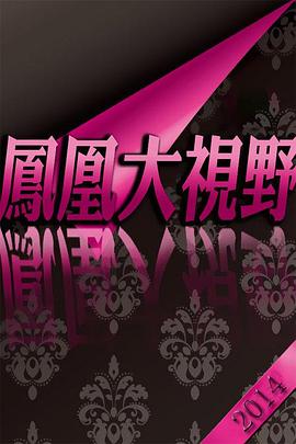 凤凰大视野
