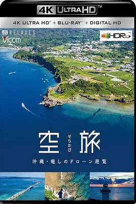 冲绳本岛空中巡游