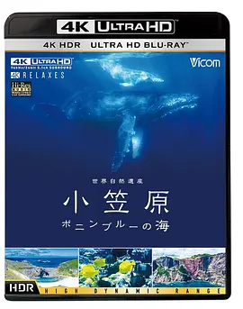 世界自然遗产 小笠原 ~宝蓝色的大海~