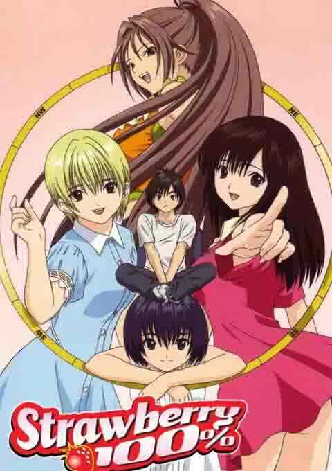 草莓百分百