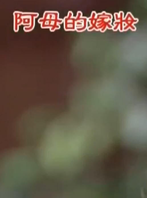 阿母的嫁妆